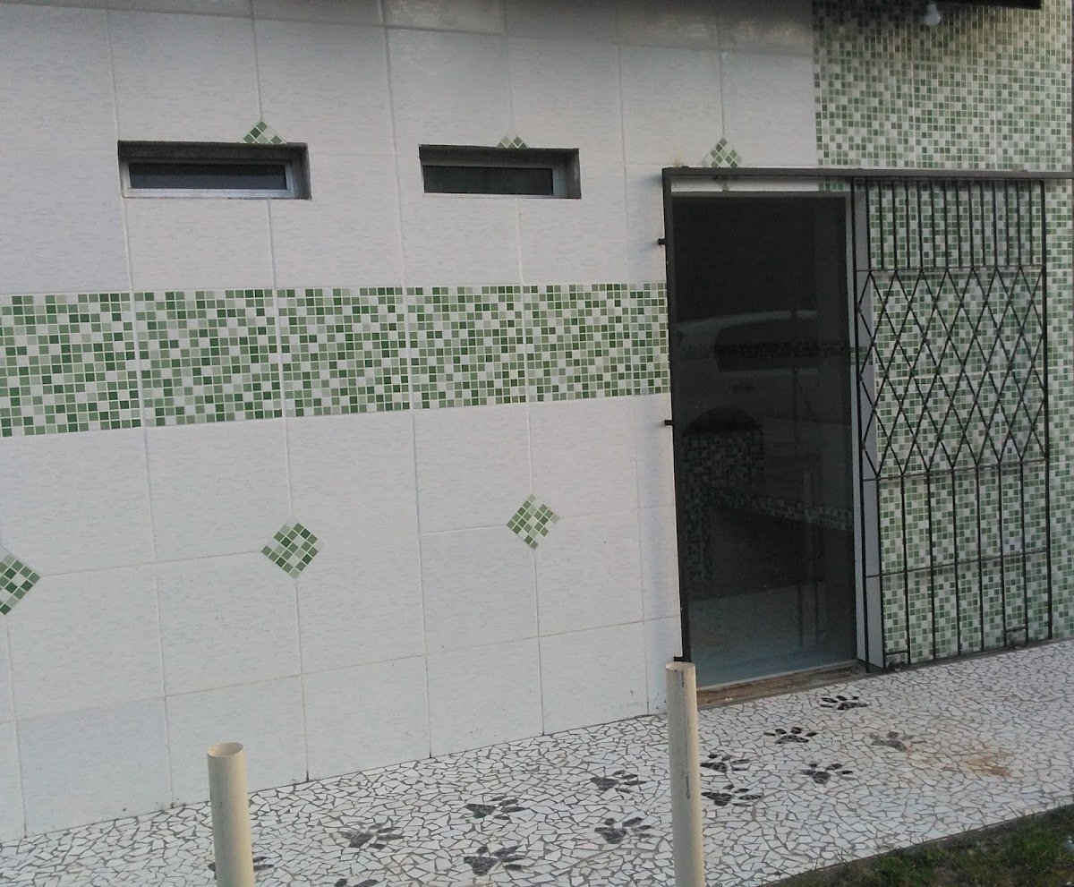 Dra Regiane Bezerra - Médica Veterinária