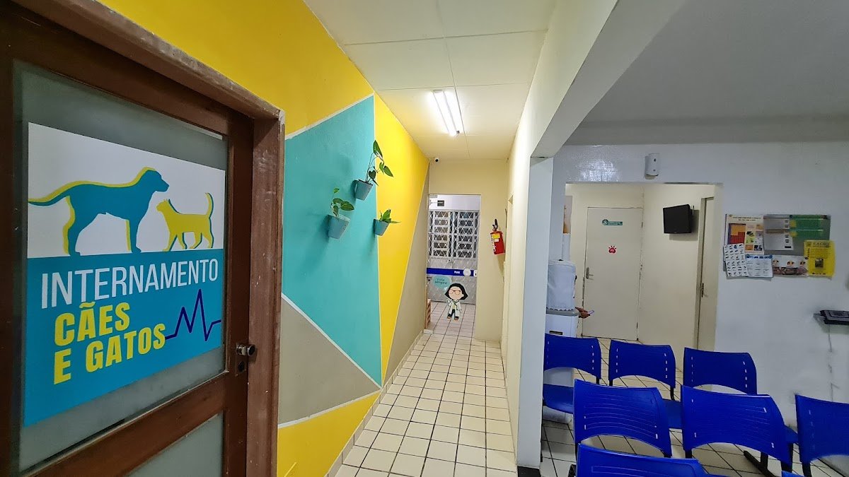 Vila Pet - São Lourenço