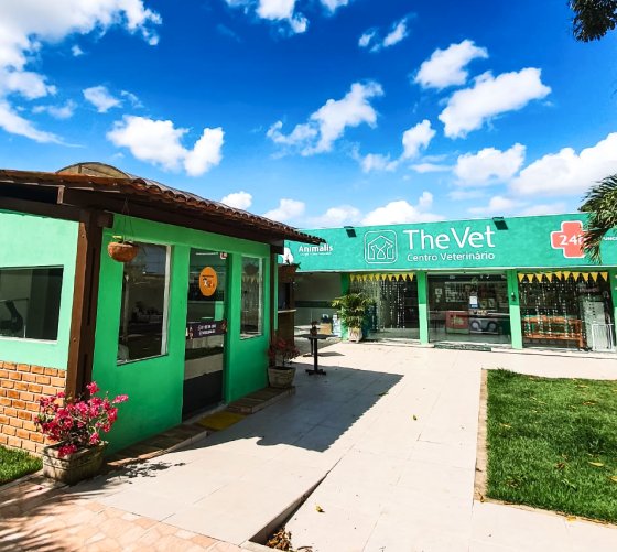 The Vet Centro Veterinário