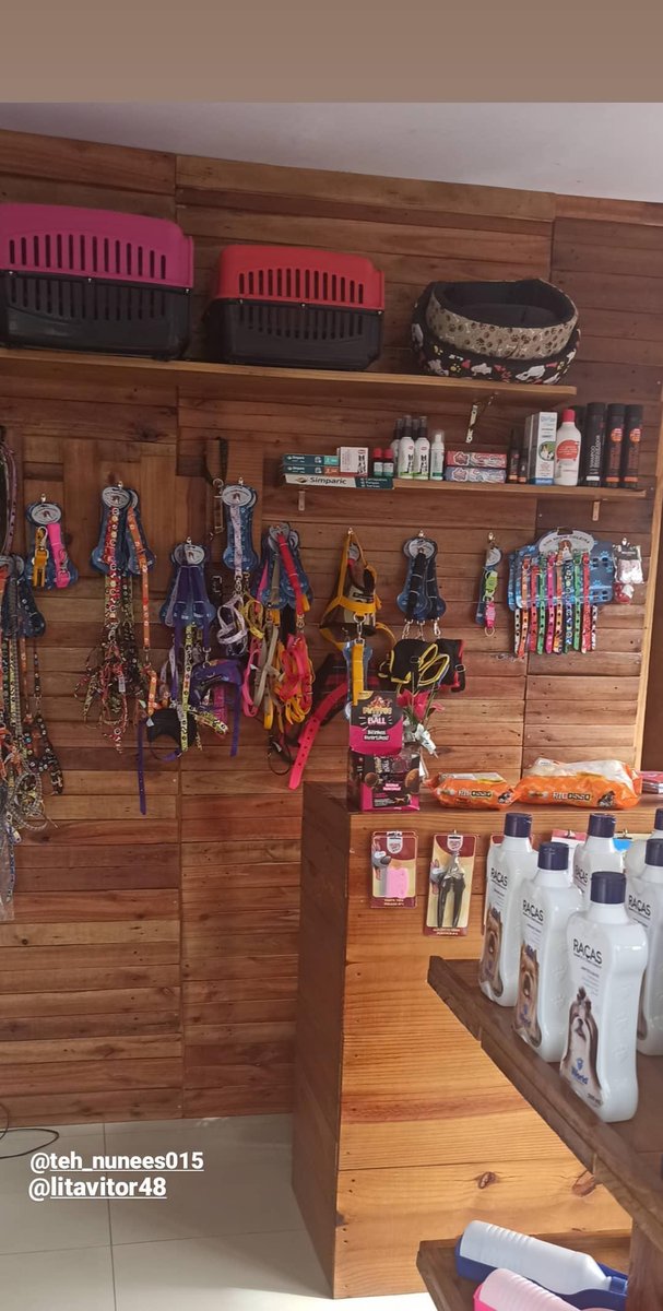 Studio Pet Camaragibe