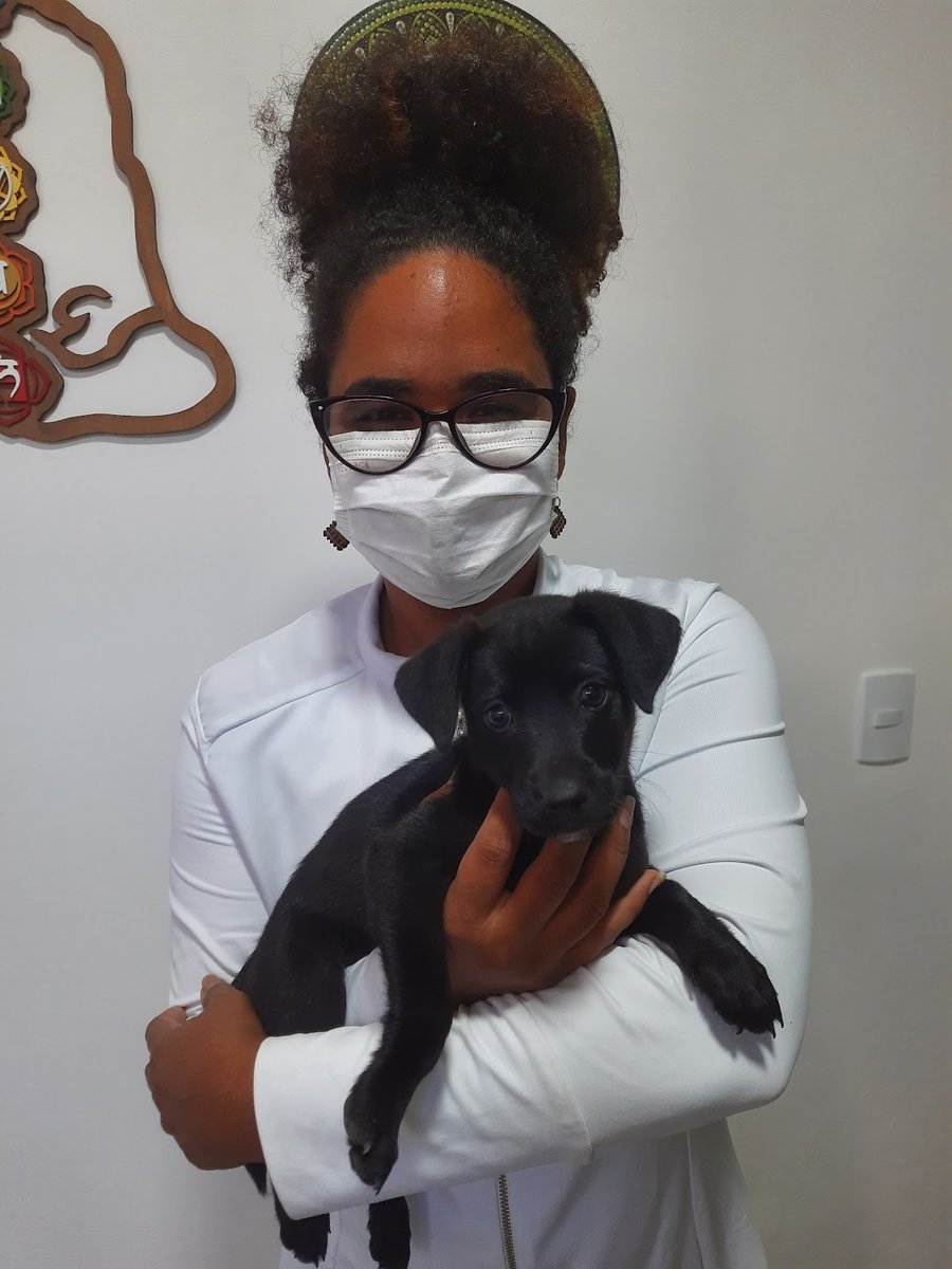 Clínica Veterinária Baobá - Atendimento em Domicílio e Ambulatorial - Recife e Região