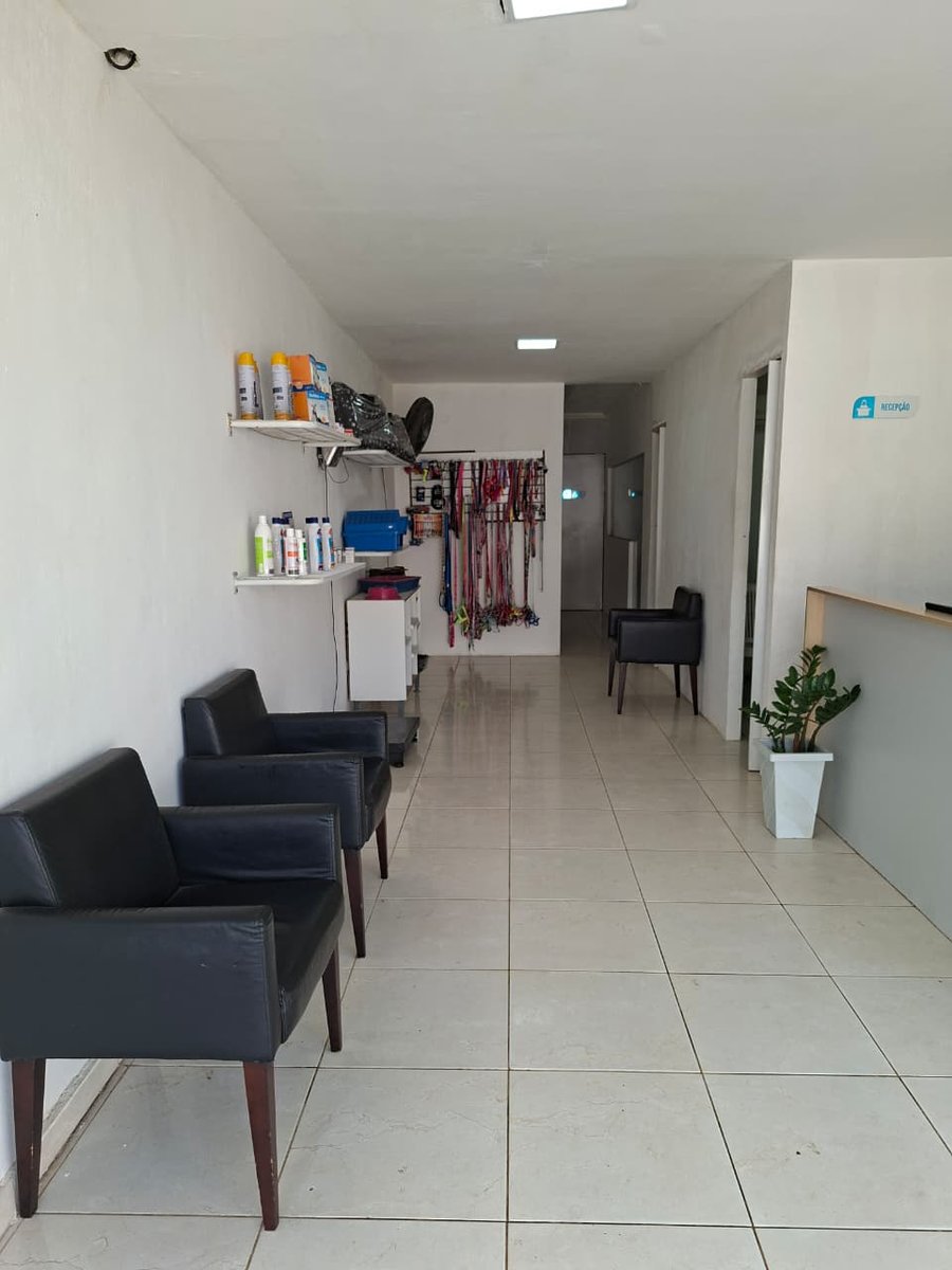 Dora Pets Clínica Veterinária – Banho e Tosa, Vacinas e Exames em Aldeia PE