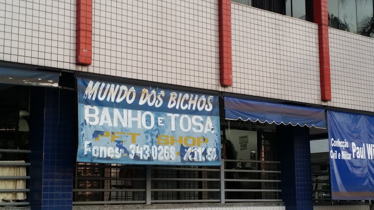 Mundo dos bichos