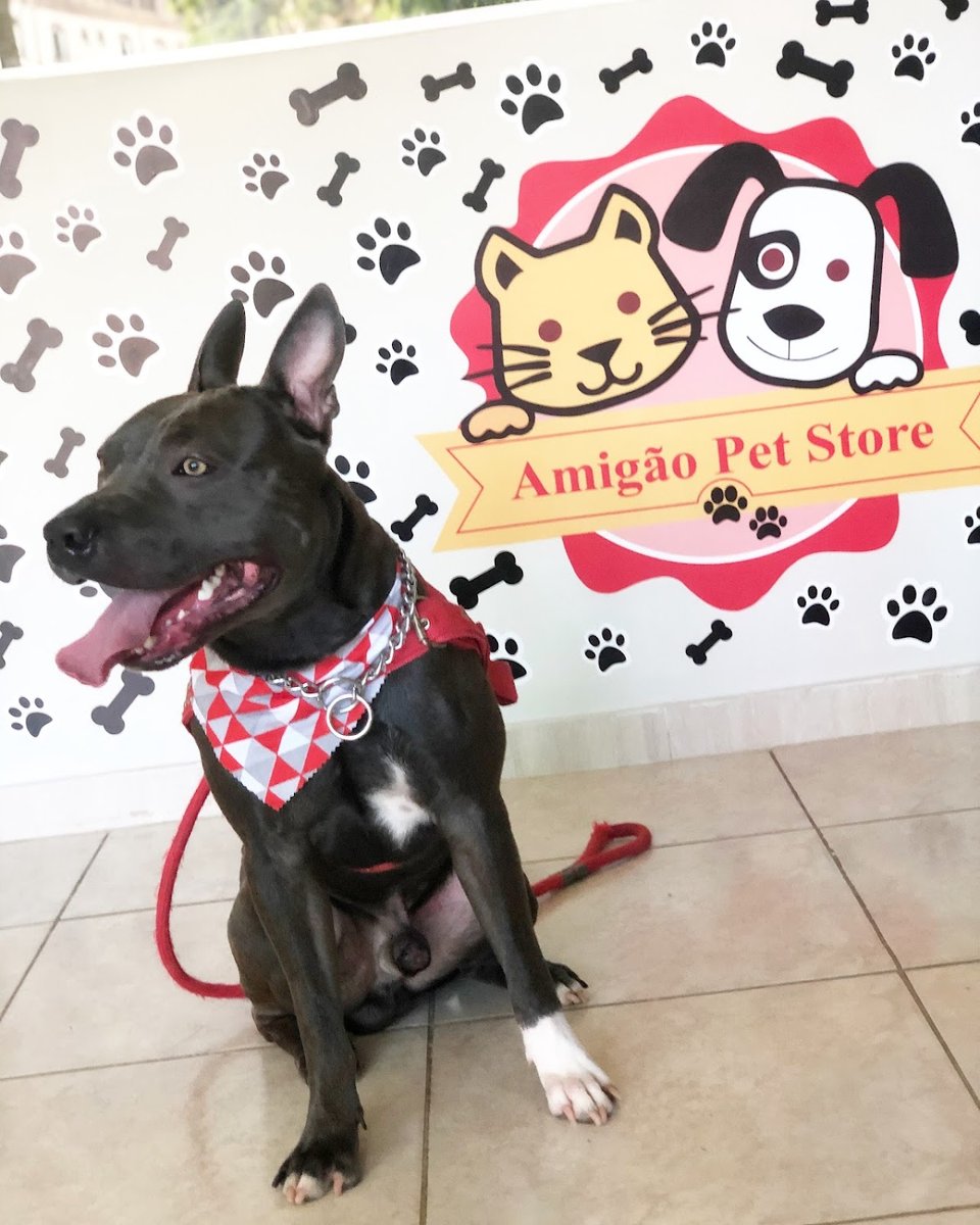 Amigão Pet Store