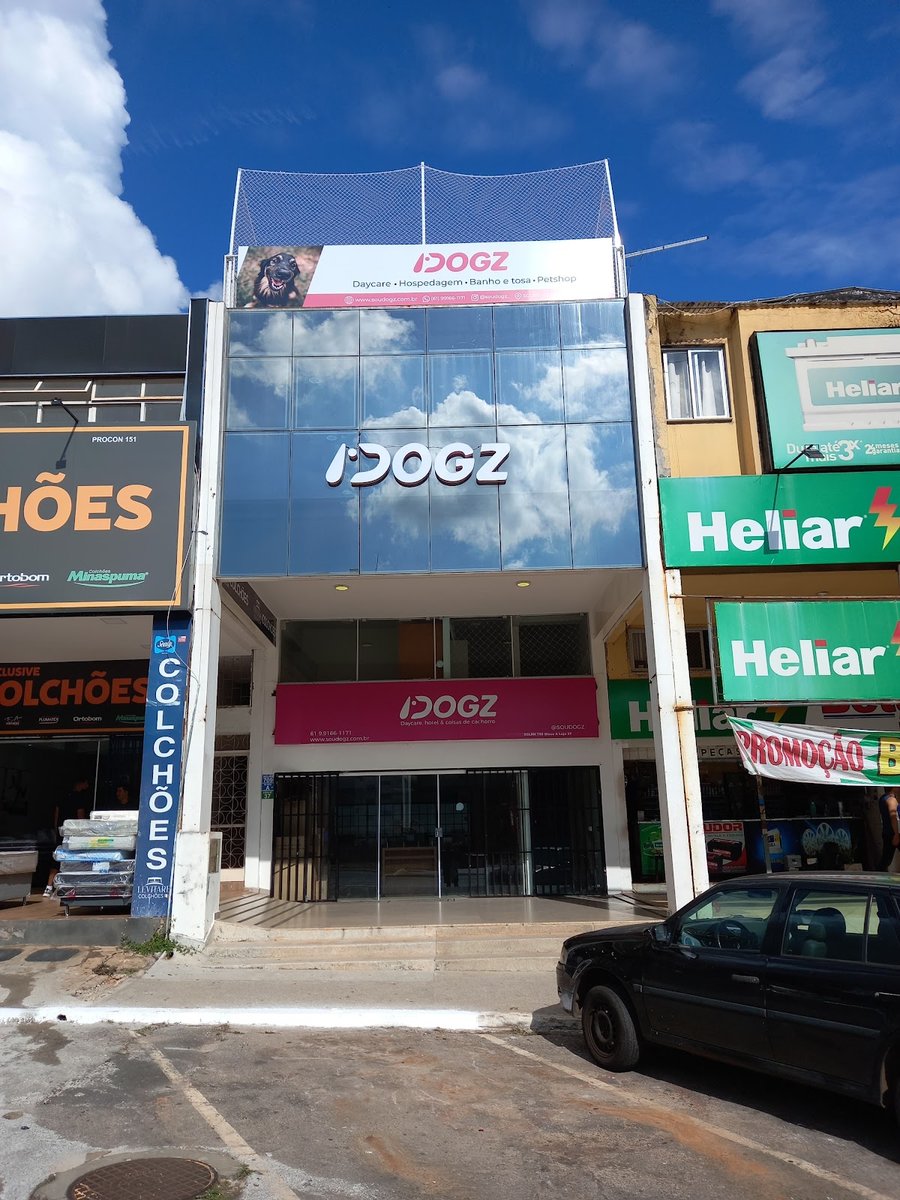 Dogz - Daycare, Hotel e Trainning