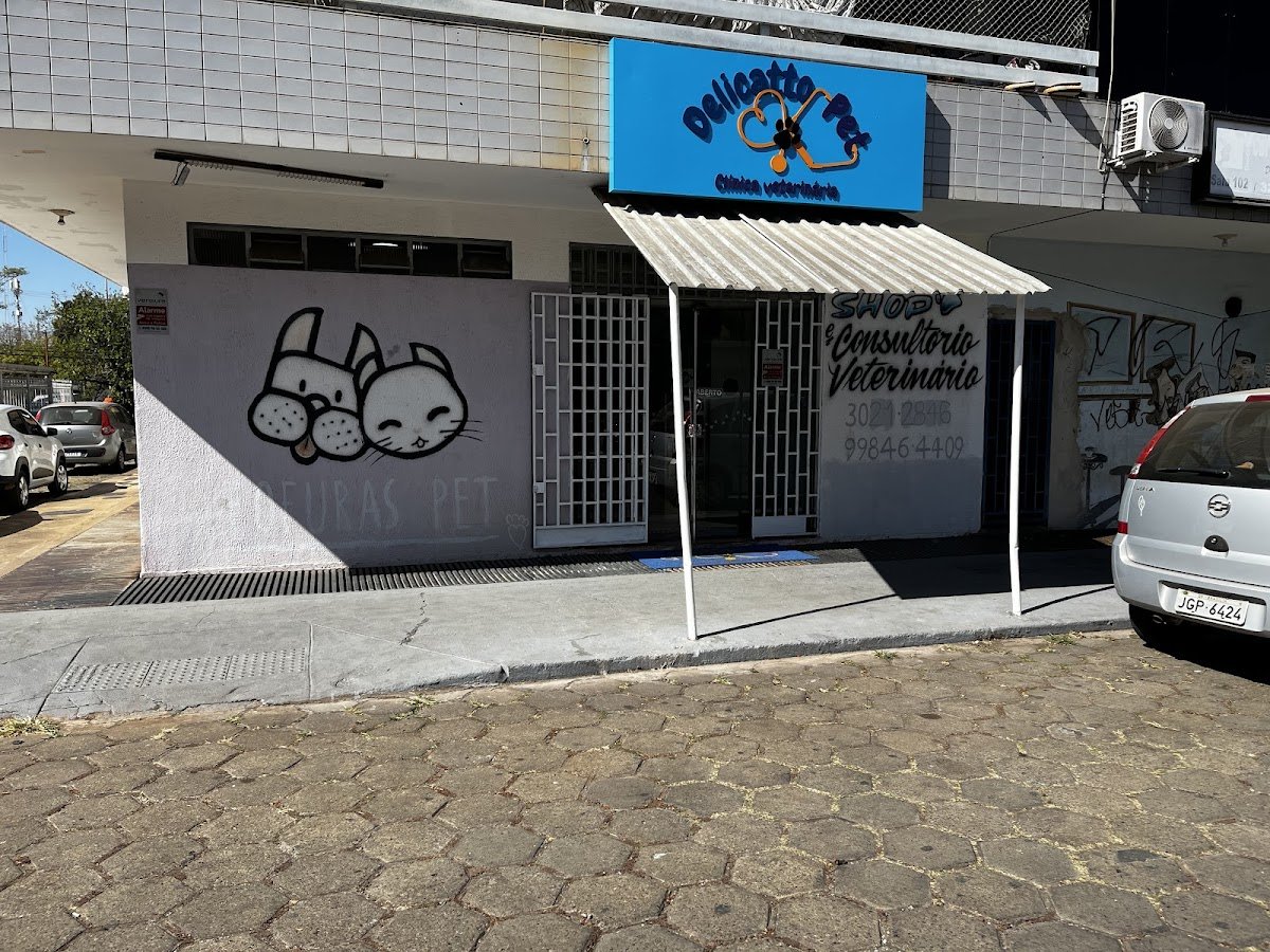 Delicatto pet clínica veterinária