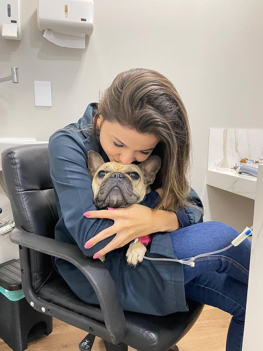 AtenVet Clínica Veterinária