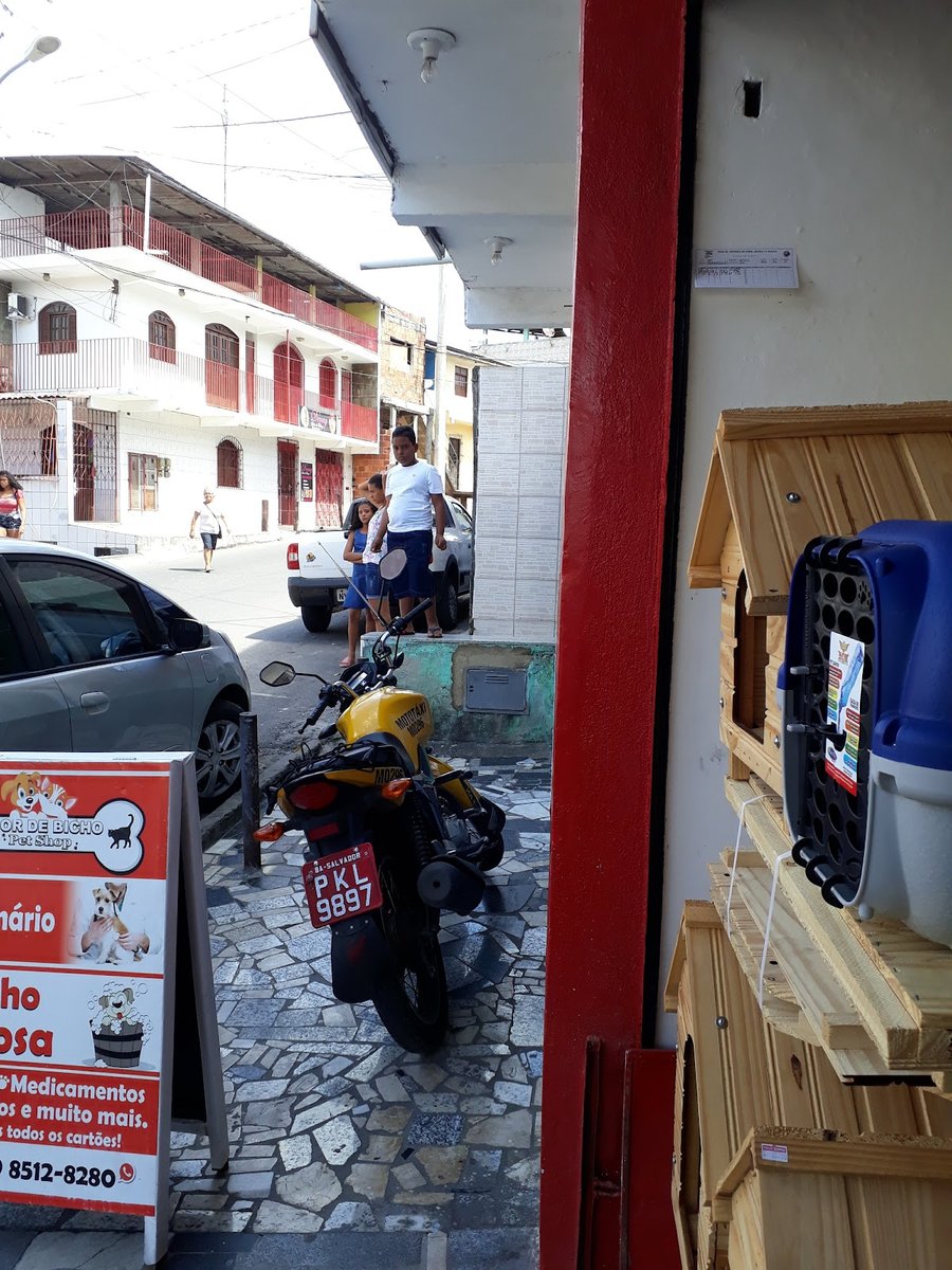 Amor De Bicho Pet Shop