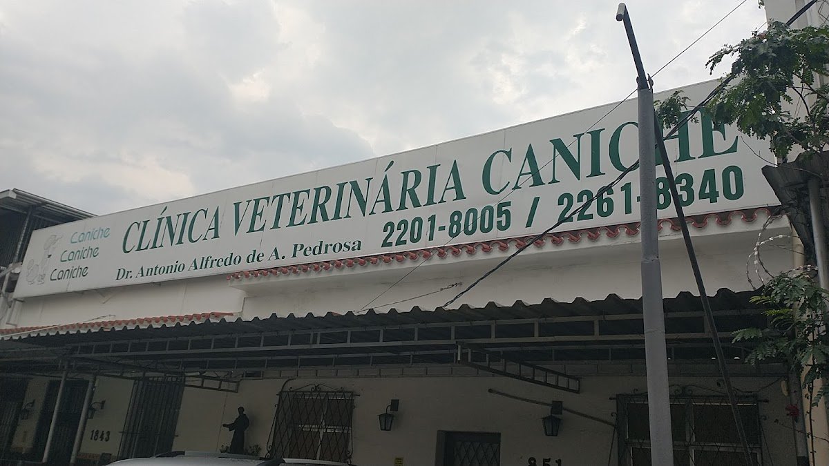 Clínica Veterinária Caniche