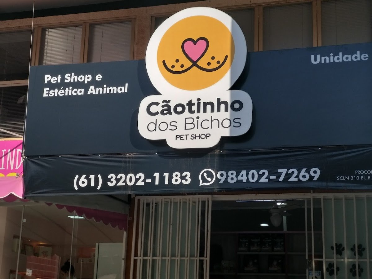 Cãotinho dos Bichos - Unidade 2