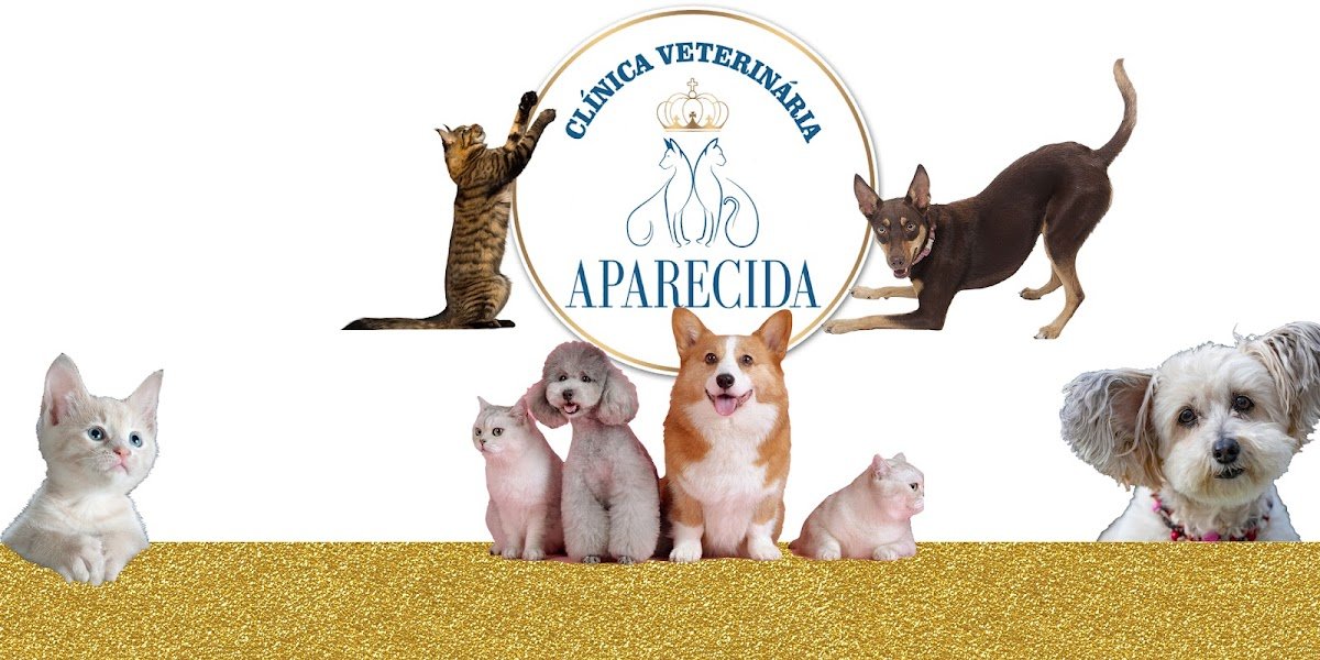 Clinica Veterinária Aparecida