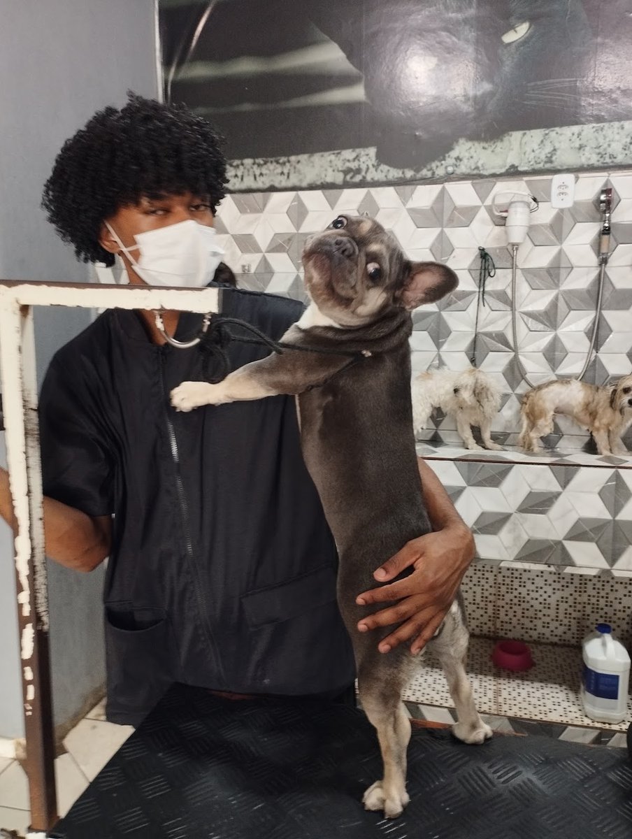 N&N Pet banho e tosa