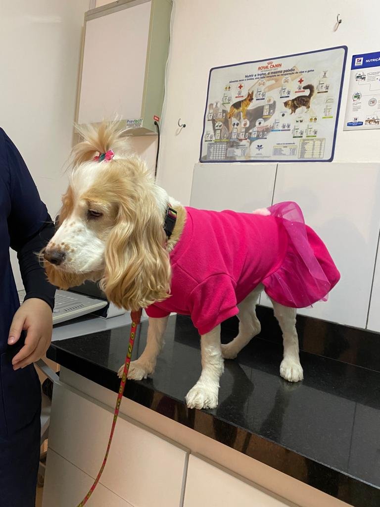 Centro Veterinário Guará