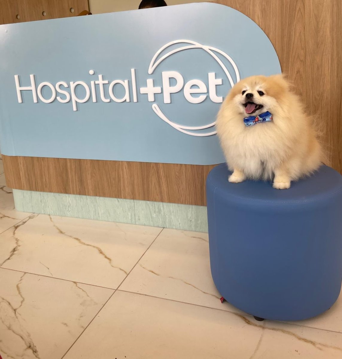 +PET | Hospital Veterinário