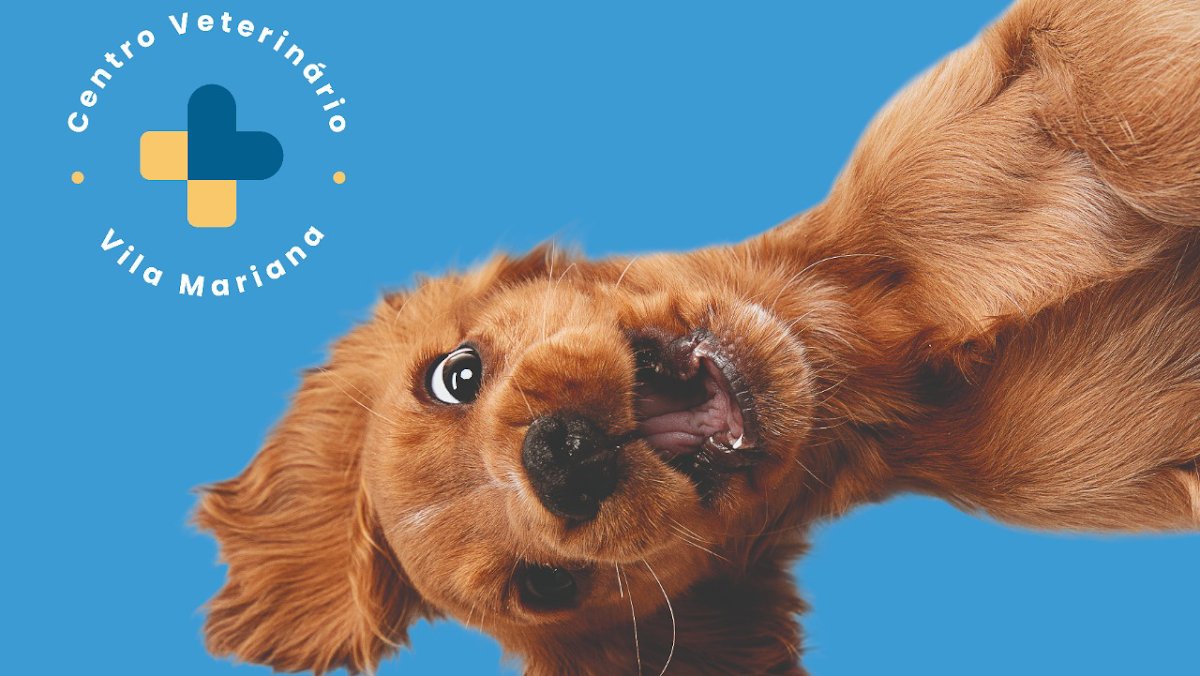 Centro Veterinário Vila Mariana