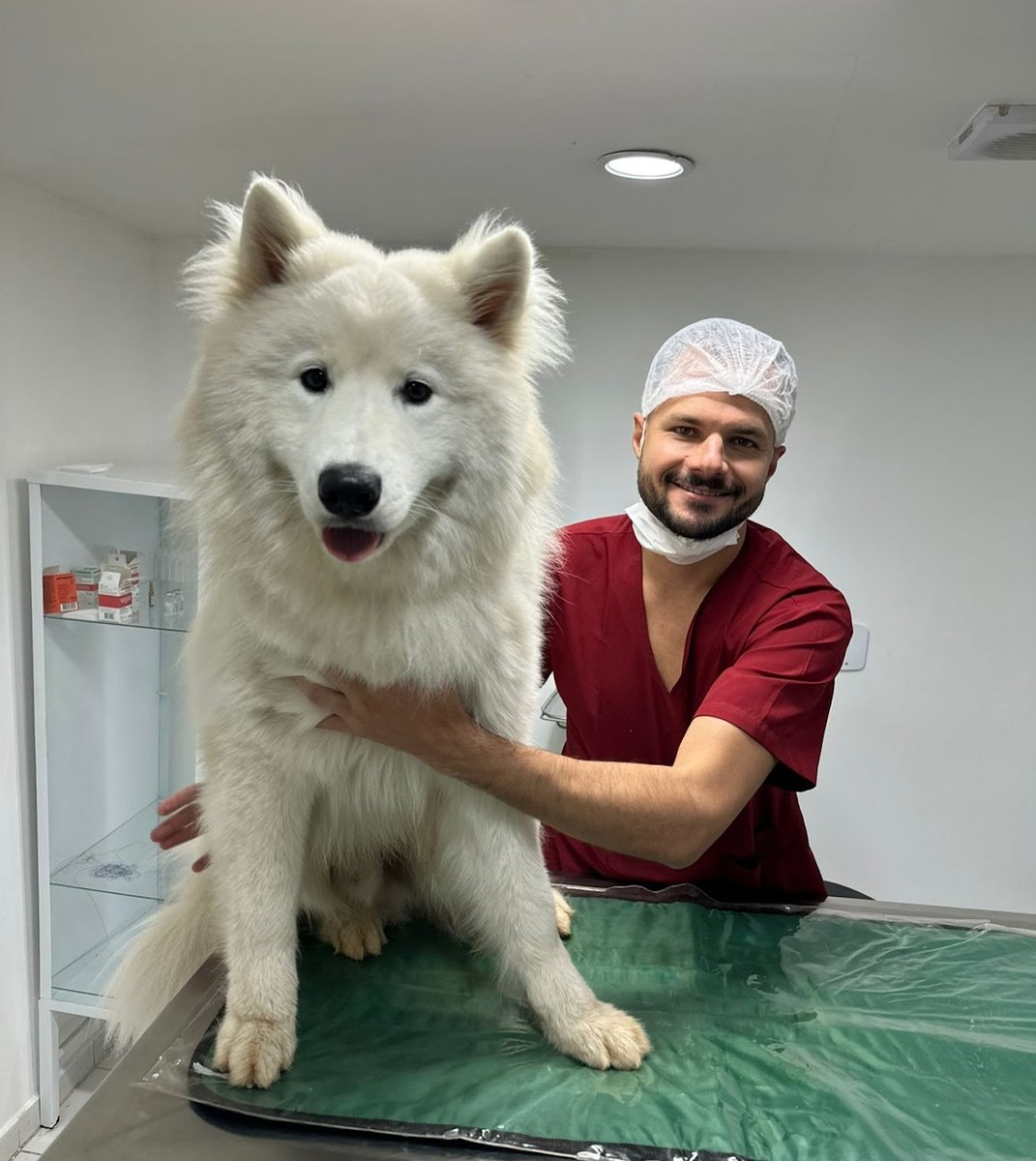 Qualipet Veterinária & Pet Shop