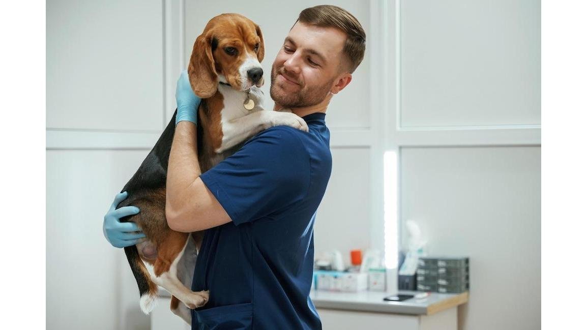 Clinica Veterinária Tribo Do Cão