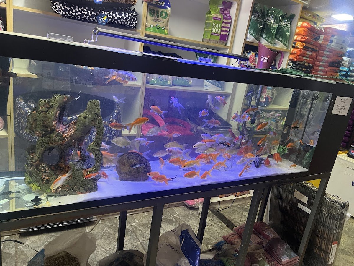 Vida Rural Agropecuária