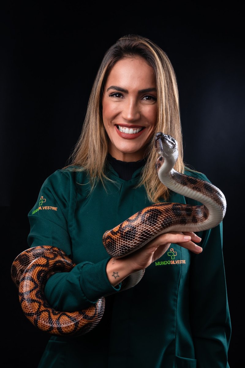 Mundo Silvestre - Medicina de Animais Silvestres e Exóticos 24 Horas