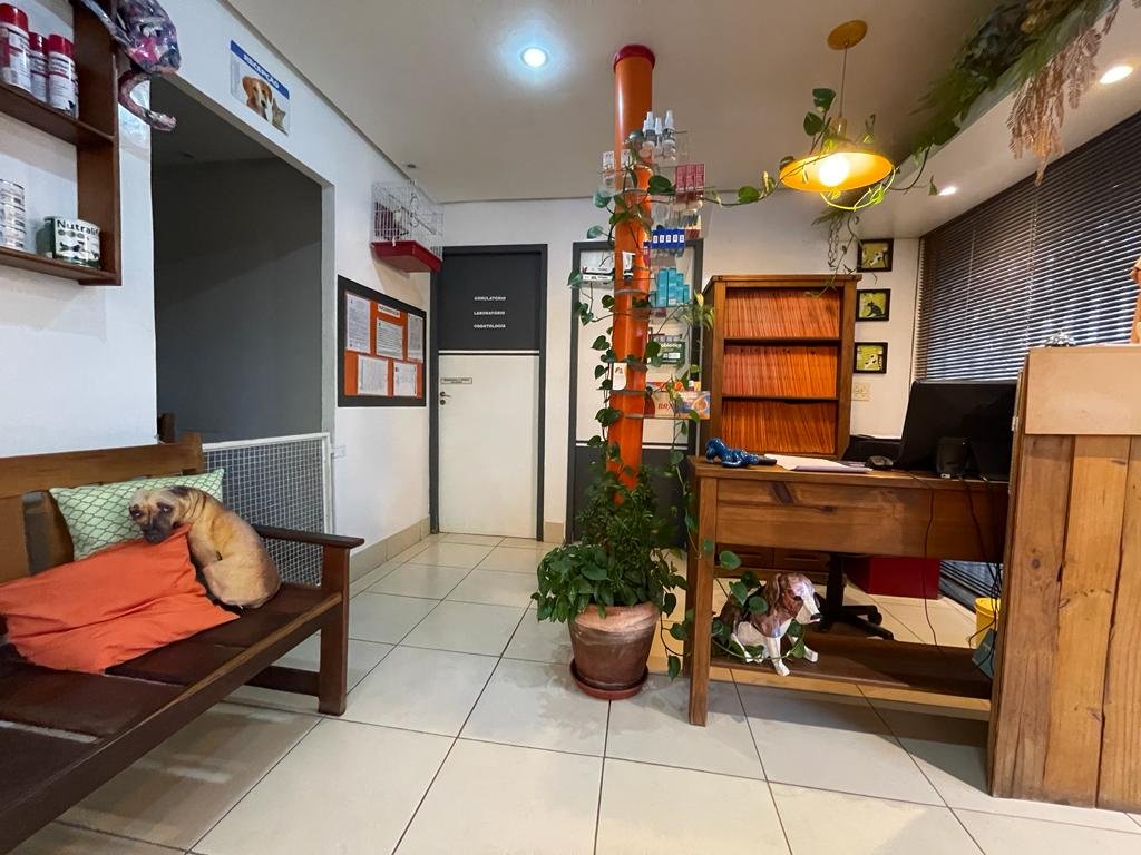 Clínica Veterinária Casa dos Bichos