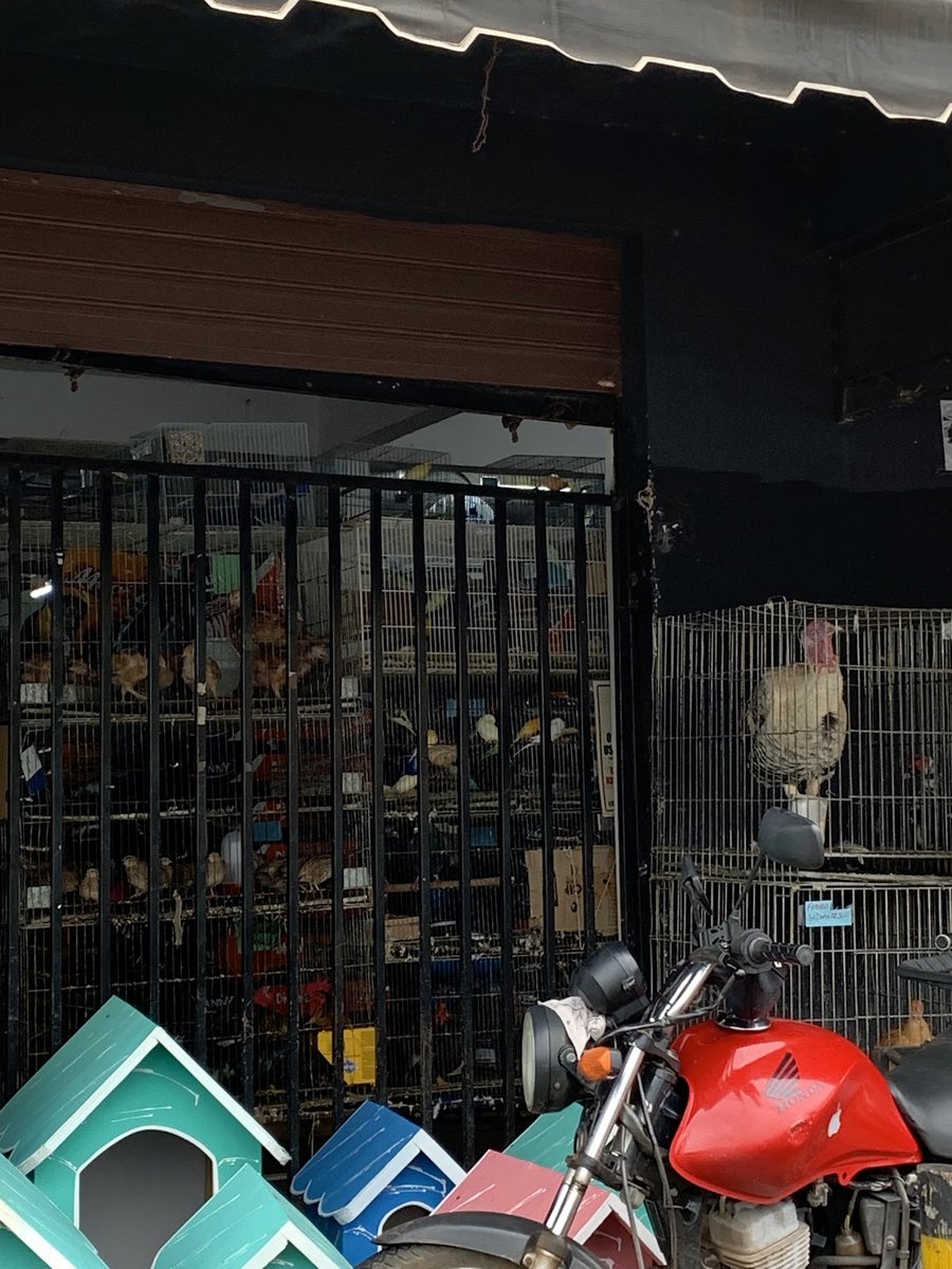 Agropecuária Dog & Cia