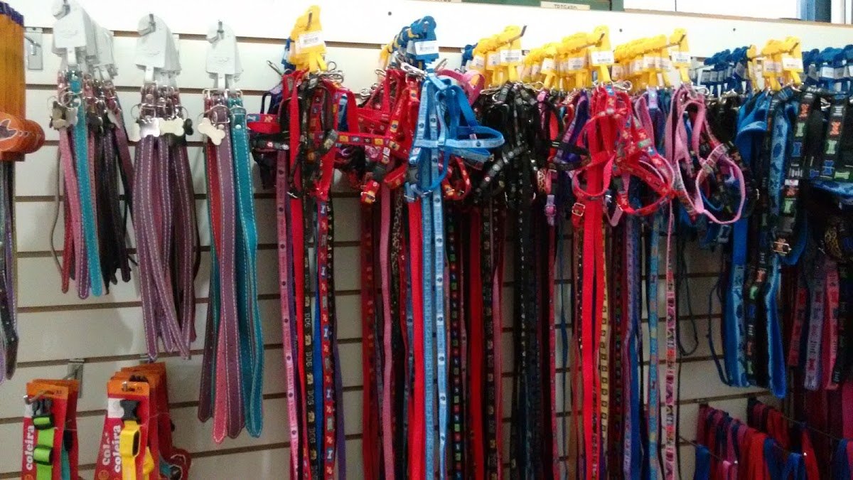 Pet Kids - DF Pet Distribuidora - Pet Bone