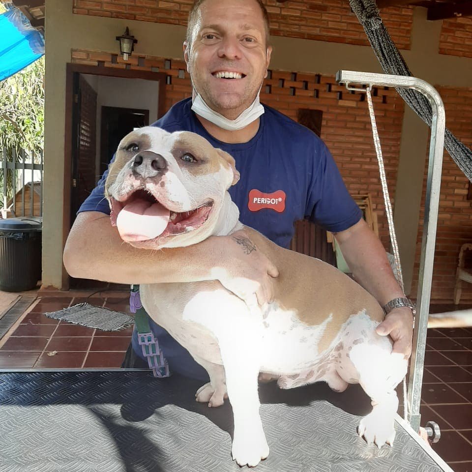 Igor banho e tosa em domicilio