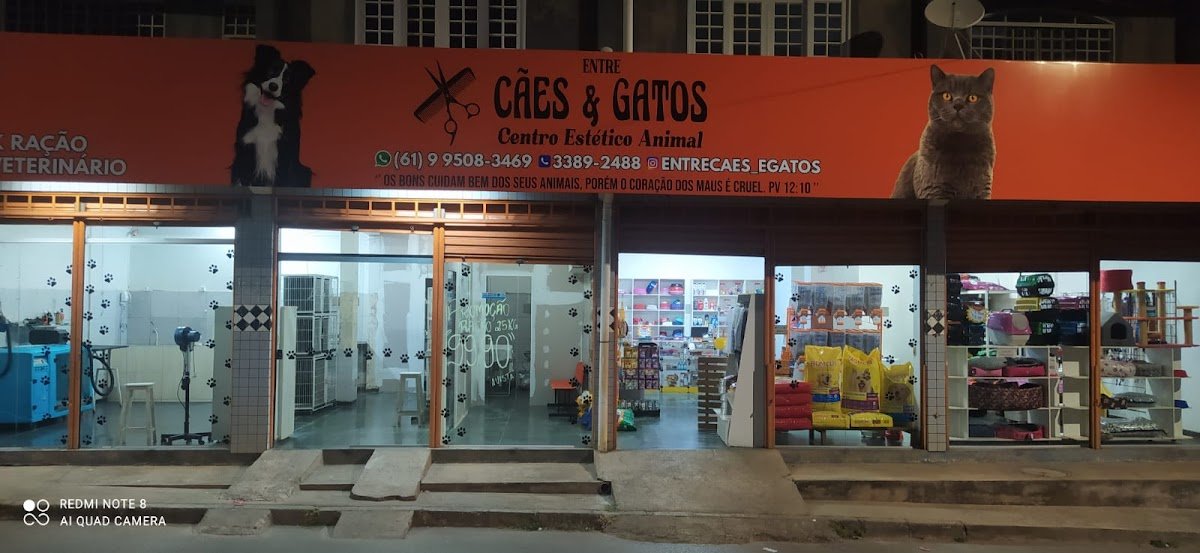 PET SHOP e AGROPECUÁRIA Entre Cães e Gatos