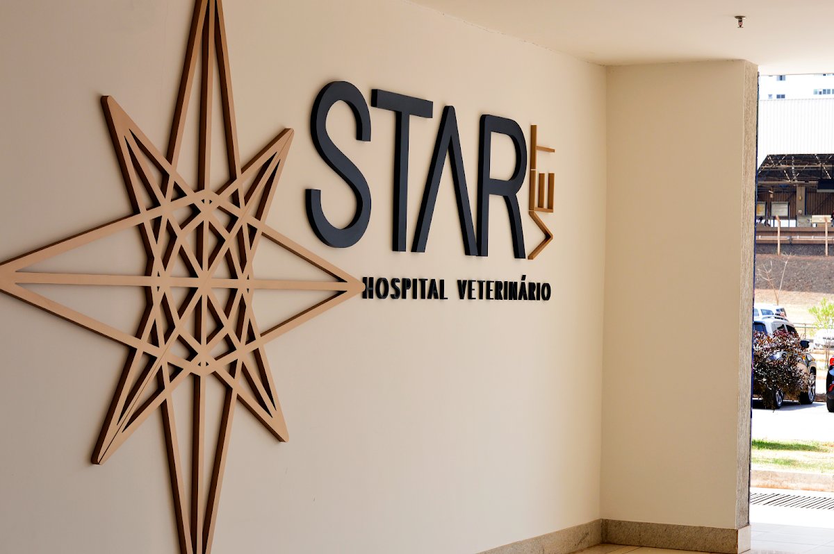 StarVet | Hospital Veterinário