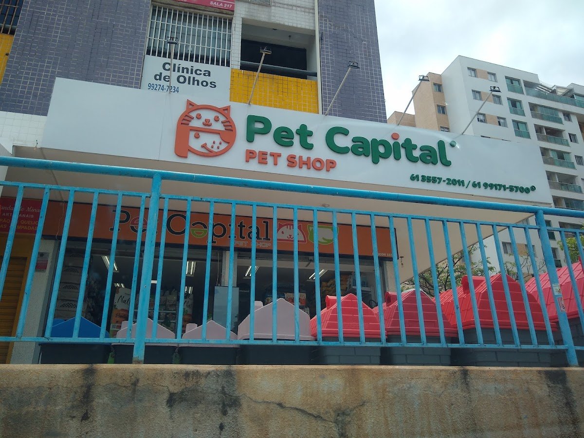 Pet Shop / Pet Capital / Guará ll QI 31