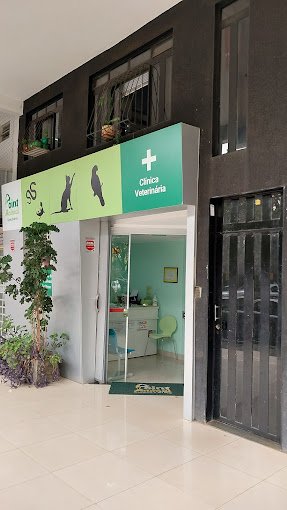 Point Animal | Clínica Veterinária & PetShop