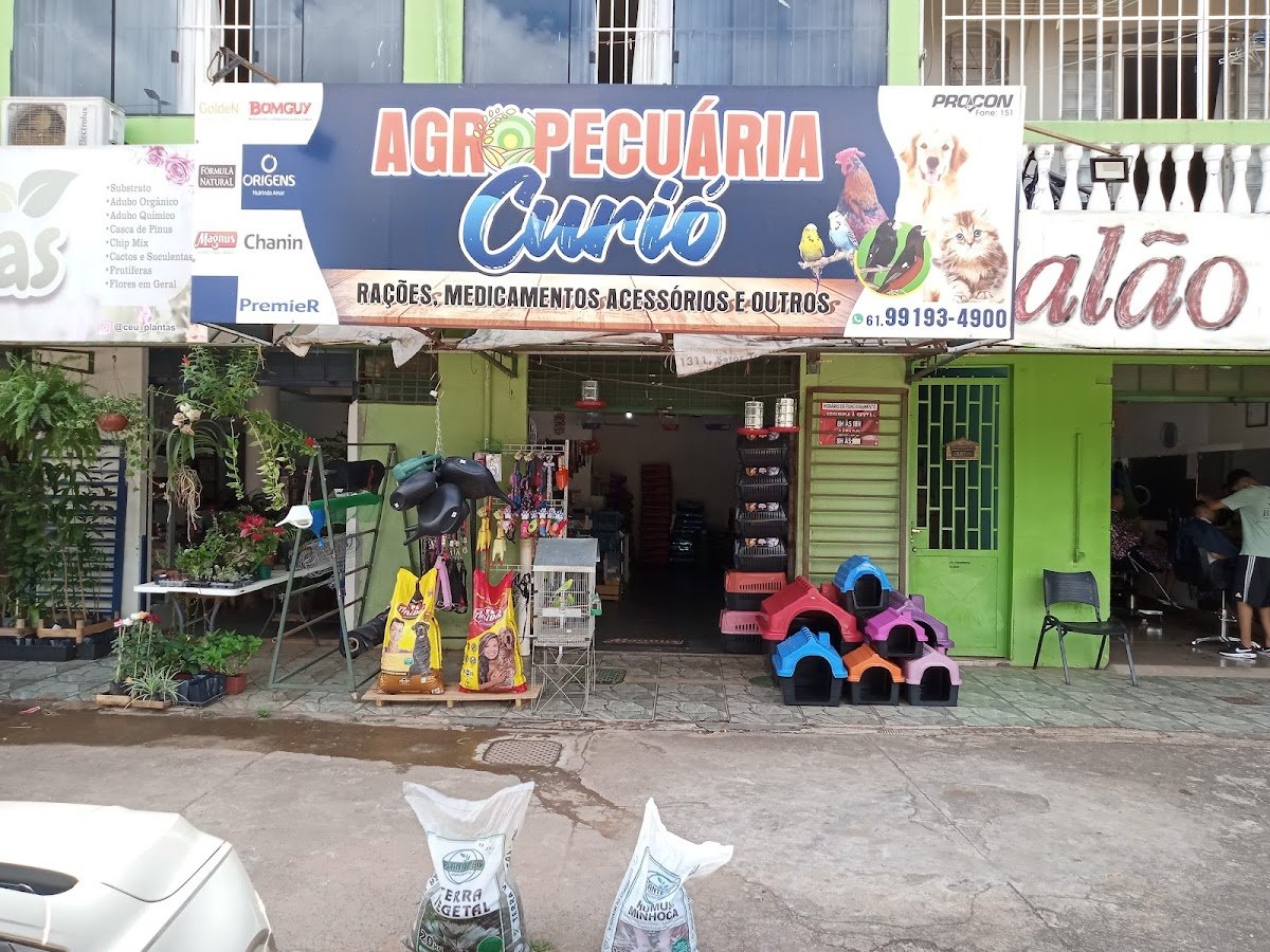 Agropecuária Curió