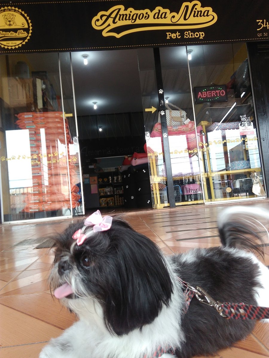 Pet Shop Amigos da Nina - Guará 2 - QE 32