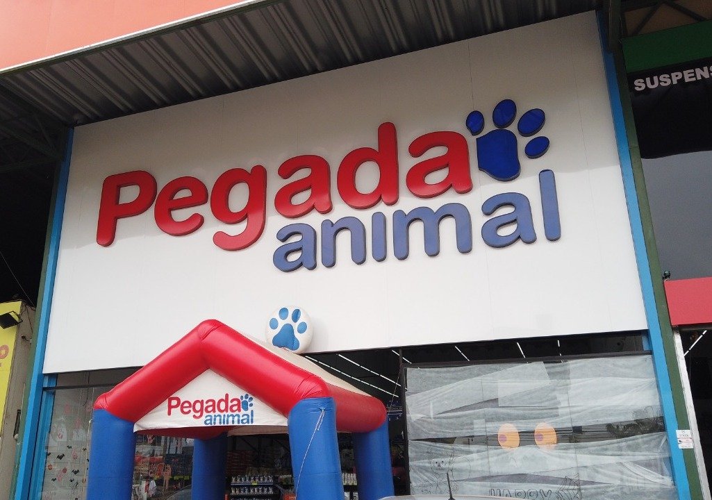 Pegada Animal Samambaia 2