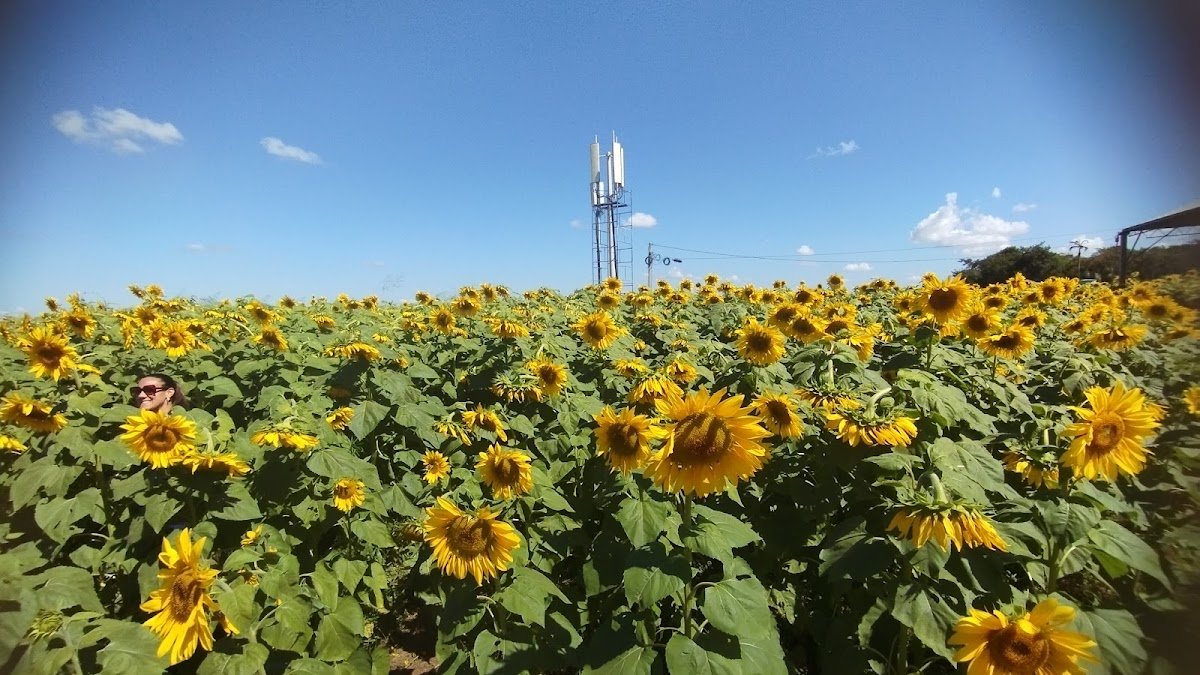 Agro Brasília - Feira de Tecnologia e Negócios do Agro