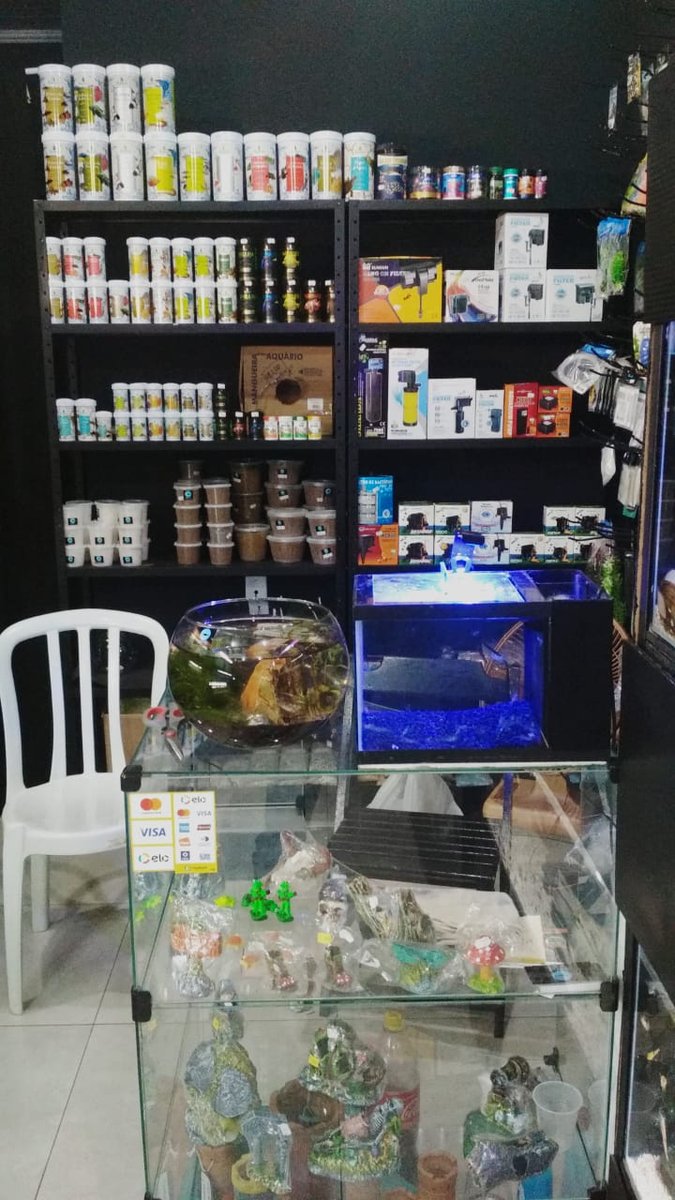 Mundo Fish Aquarismo