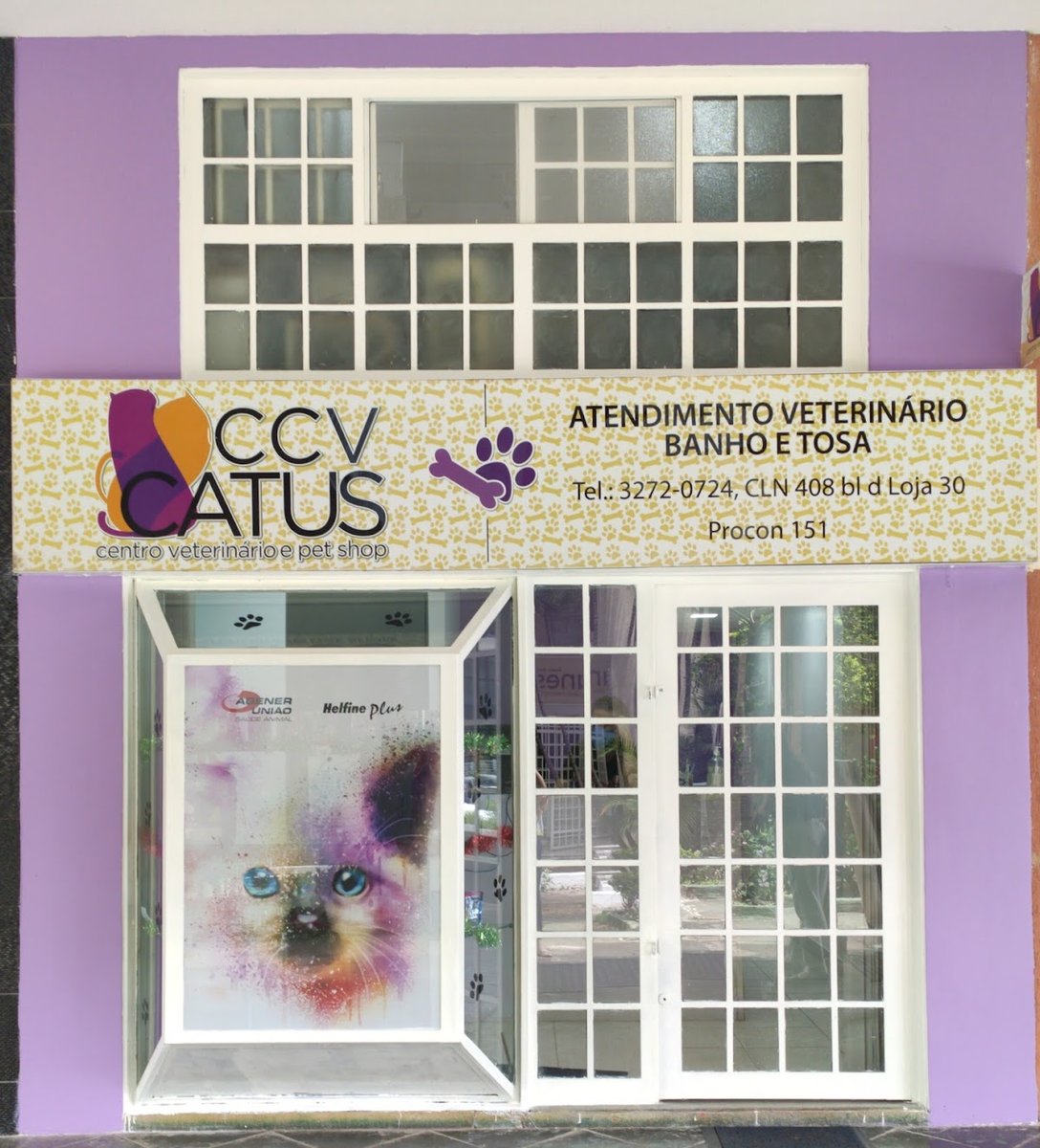 Médica de Gatos Centro Veterinário - Especializado em Gatos