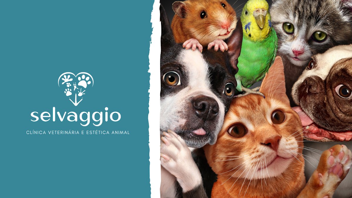Selvaggio Clinica Veterinária