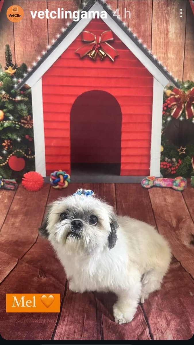 VetClin - Clínica Veterinária