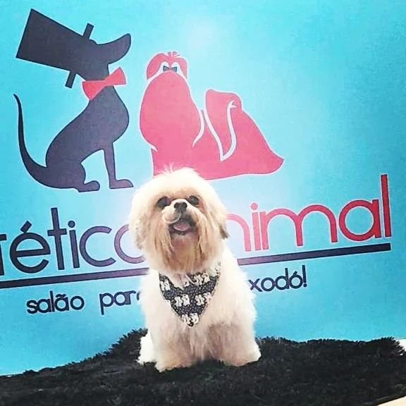 Estética Animal