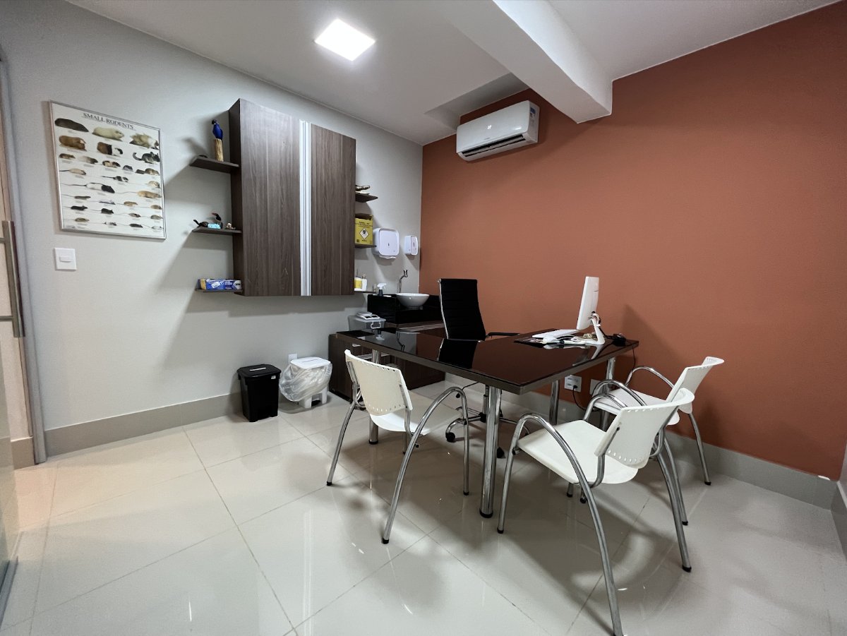 Exotic Life | Clínica Veterinária