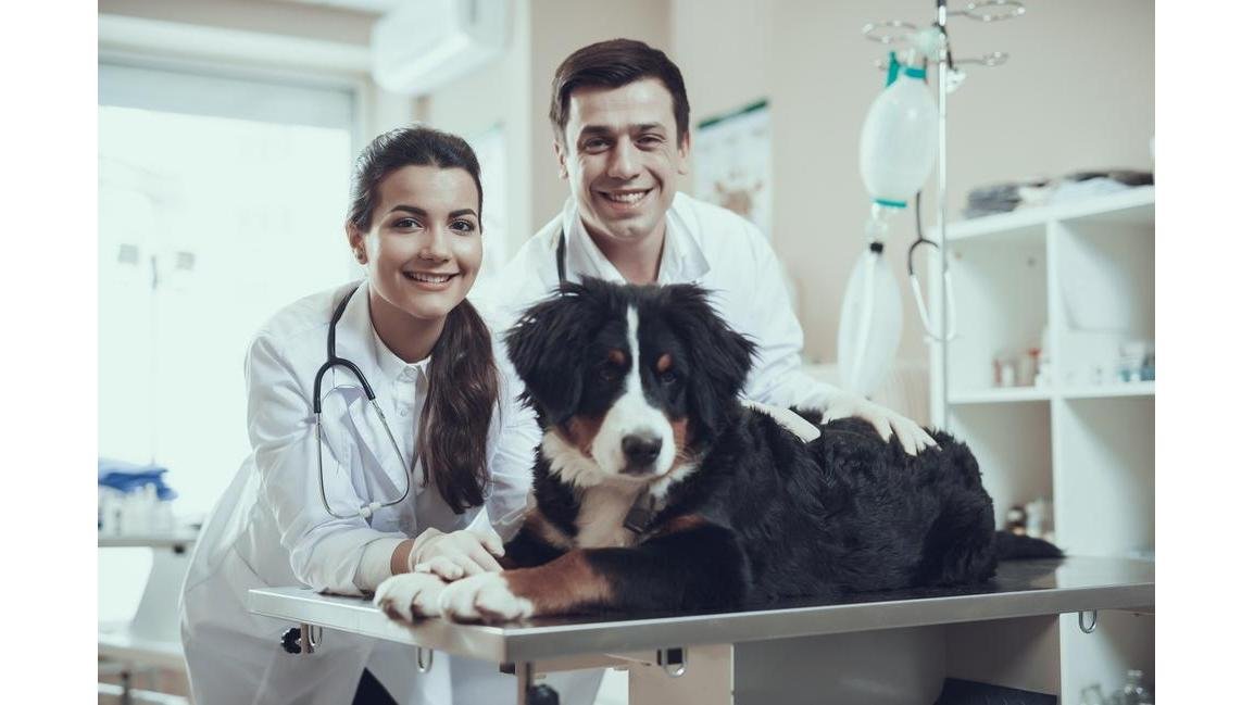 Agropet Mundo Animal