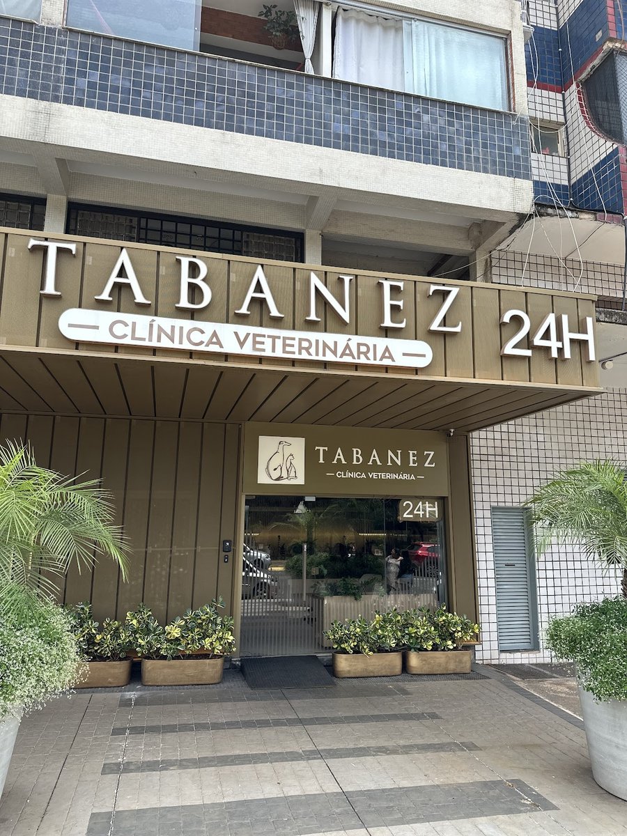 Tabanez | Clínica Veterinária