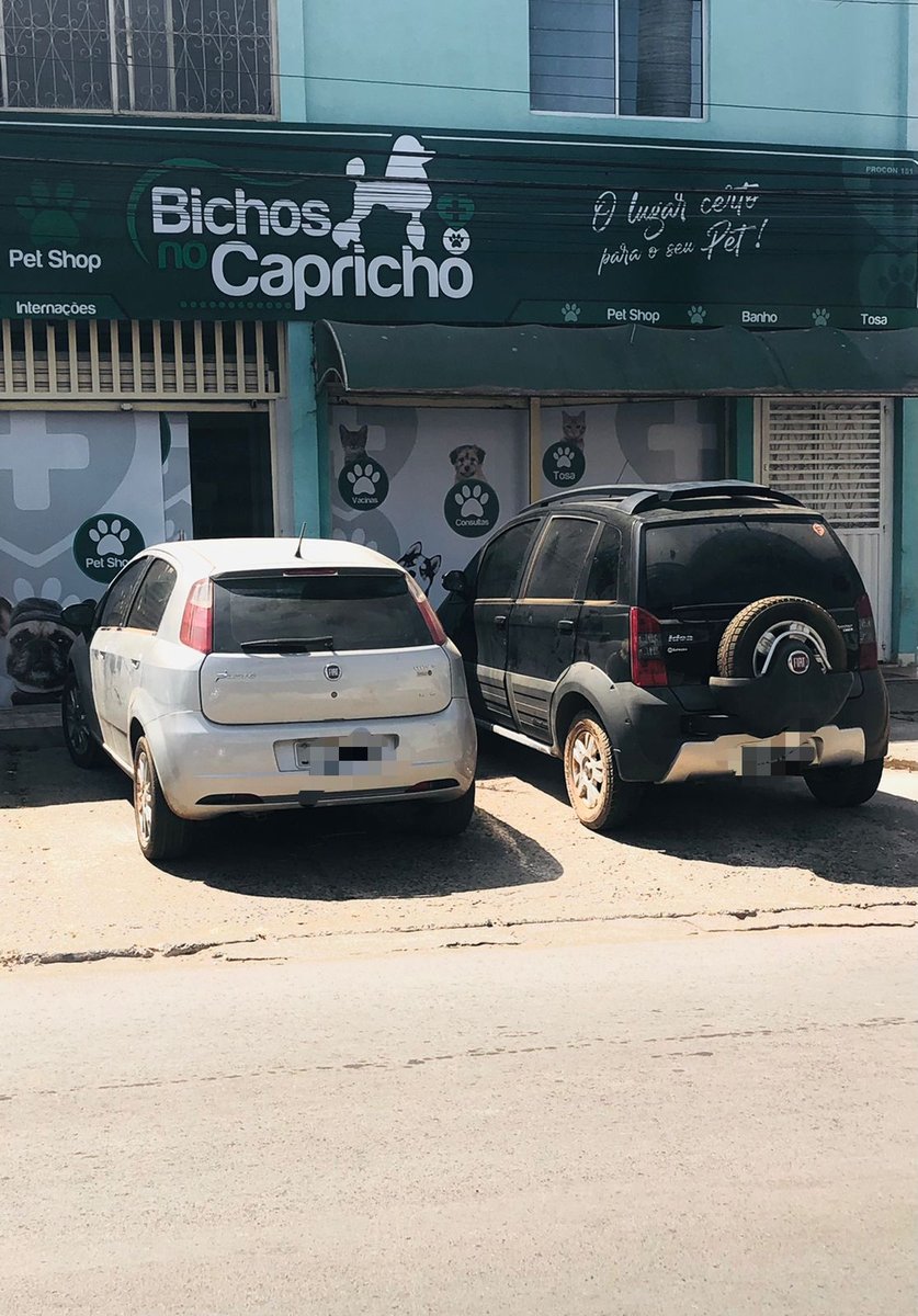 Clínica Bichos no Capricho e pet shop