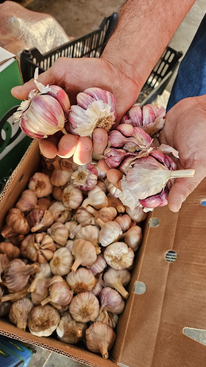 COMERCIAL AGRÍCOLA PILAR DO SUL LTDA