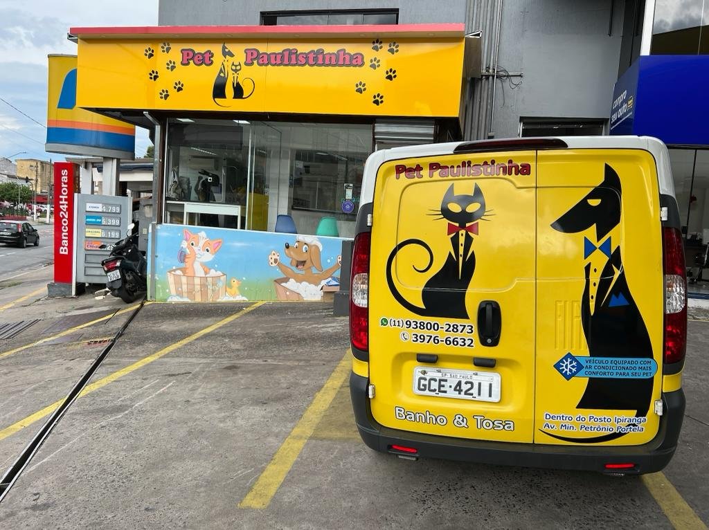 Pet Paulistinha