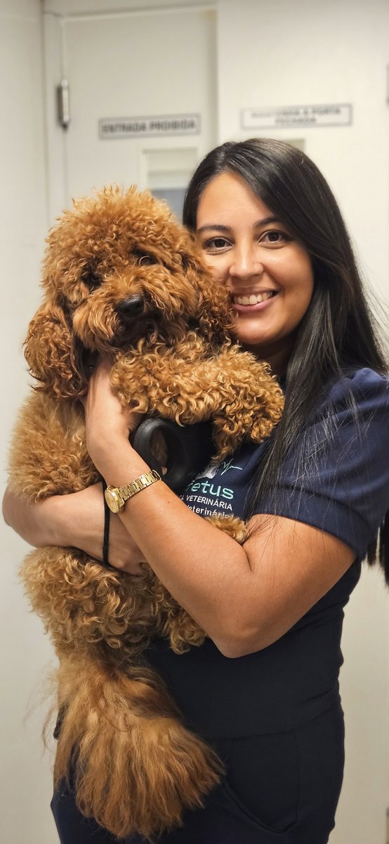 Affetus Clínica Veterinária