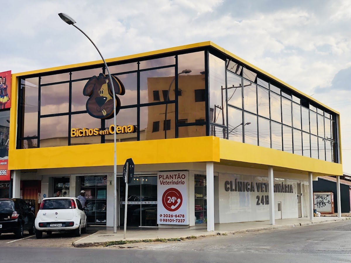 Hospital veterinário Bichos em Cena