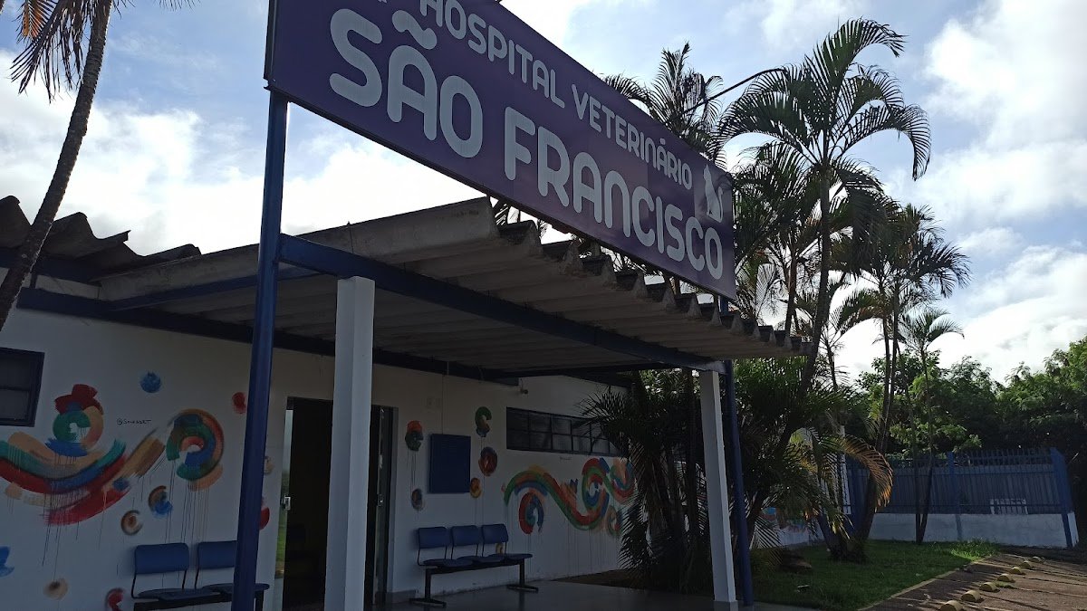 Hospital Veterinário São Francisco I Emergência veterinária 24h