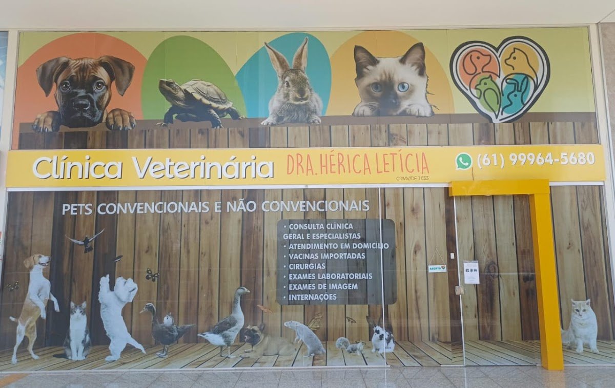 Clínica Veterinária Dra. Hérica Letícia - Pets convencionais e não convencionais